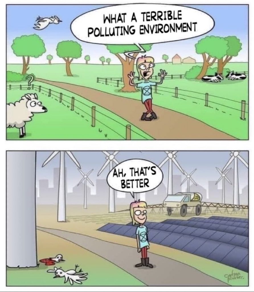 flaws in the vegan diet and arguments against veganism