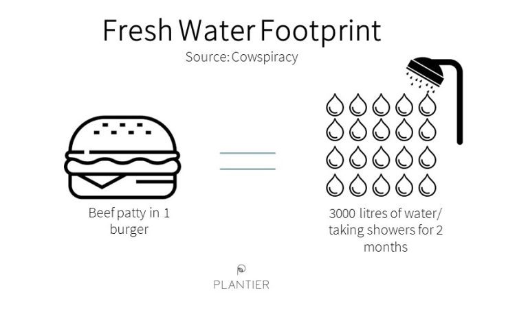 debunking vegan environmental arguments
